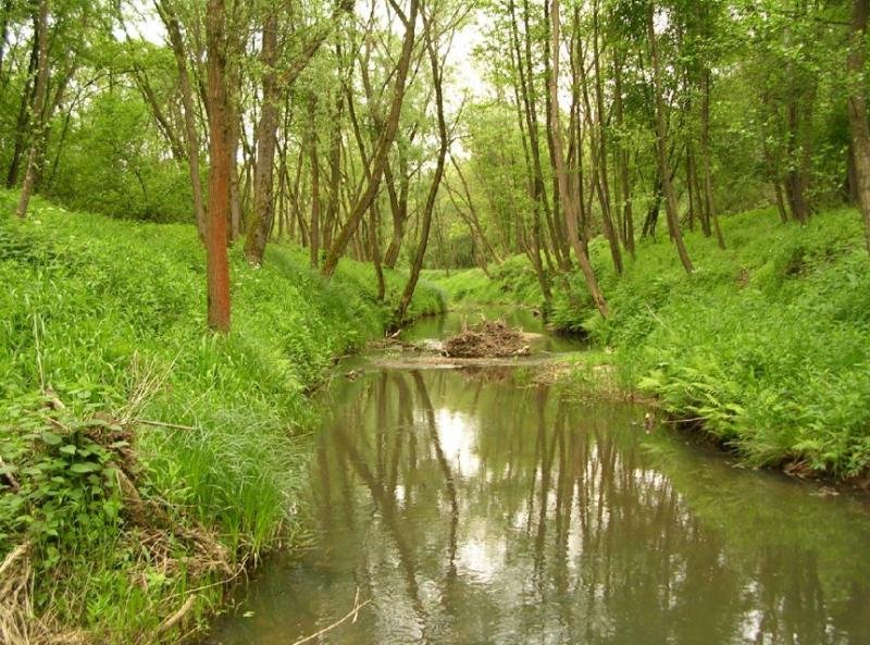 Az Őrségi Nemzeti Park Kercaszomor környéki tanösvényei